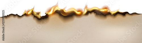 Burn Paper Texture
