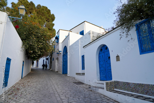 Il caratteristico villaggio di Sidi Bousaid si trova vicino a Cartagine e si distingue per i colori bianco e azzurro delle sue case. Cartagine, Tunisia, Africa del Nord photo