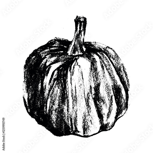 Hand drawn pumpkin drawing. Vector squash symbol. Organic pumpkin illustration with charcoal drawing, pencil doodle texture. Vegetable sign and veggy sketch