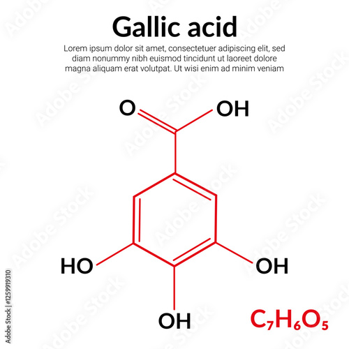 Gallic acid (trihydroxybenzoic acid) molecular structure formula, suitable for education or chemistry science content