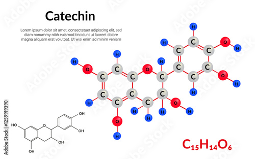 Catechin natural plant flavonol, molecular structure formula, ball-and-stick model photo