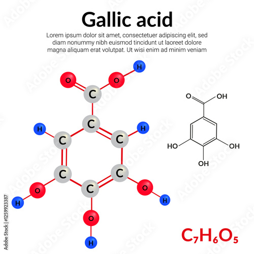 Gallic acid (trihydroxybenzoic acid) molecular structure formula, ball-and-stick model
