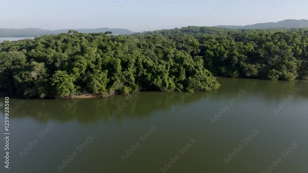 Lush green forest bordering Rincon dam reservoir, Dominican Republic. Perfect for nature and travel content. Aerial drone lateral view Lush green forest bordering Rincon dam reservoir, Dominican Republic. Perfect for nature and travel content. Aerial drone lateral view