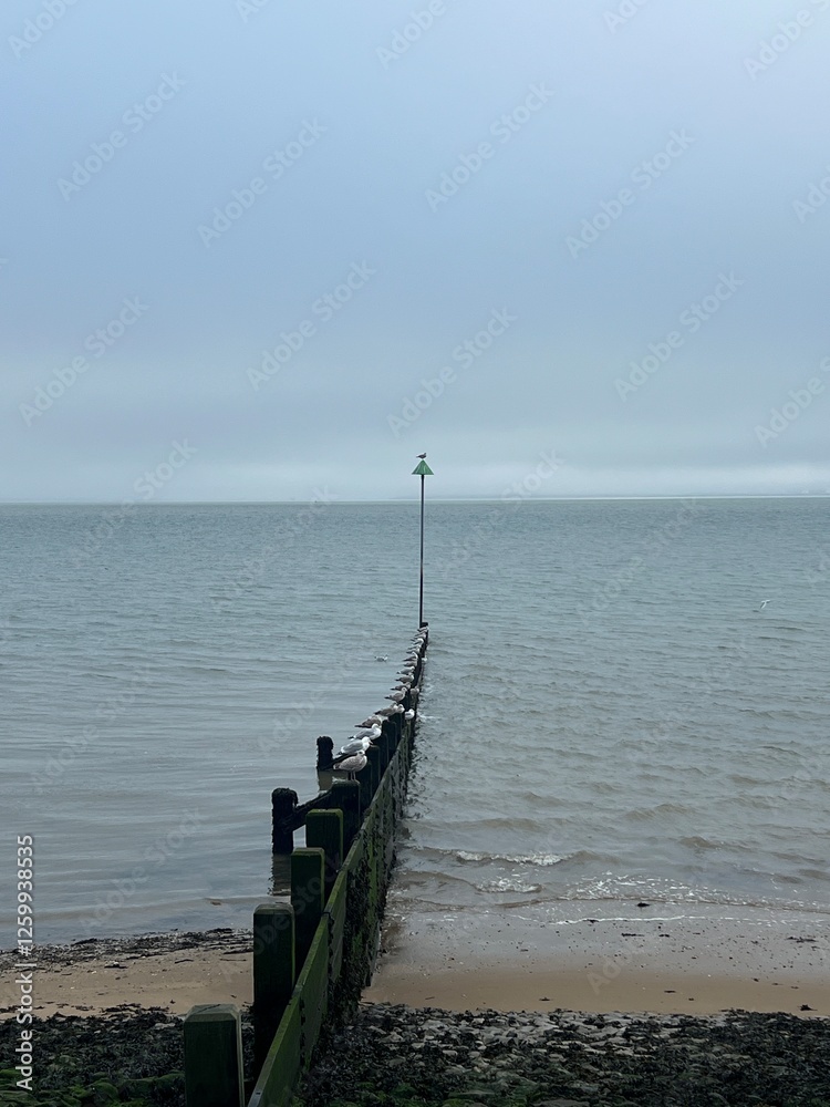 Fototapeta premium pier on the beach