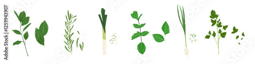 Set of fresh herbs and spice. Onion, parsley, rosemary and more. Bits of herbs. Vector. Flat cartoon style. 