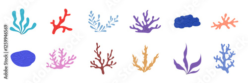 set of seaweed and corals illustration