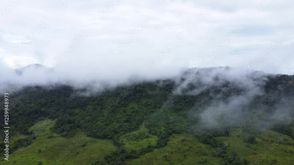 The aerial view of the mountains covered in clouds looks beautiful, piercing through the clouds The aerial view of the mountains covered in clouds looks beautiful, piercing through the clouds