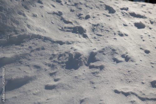 Obraz na płótnie dettagli della superficie di un terreno naturale coperto dalla neve con forme variabili disegnate dal vento ed illuminate dal sole, di giorno, in inverno w salonie