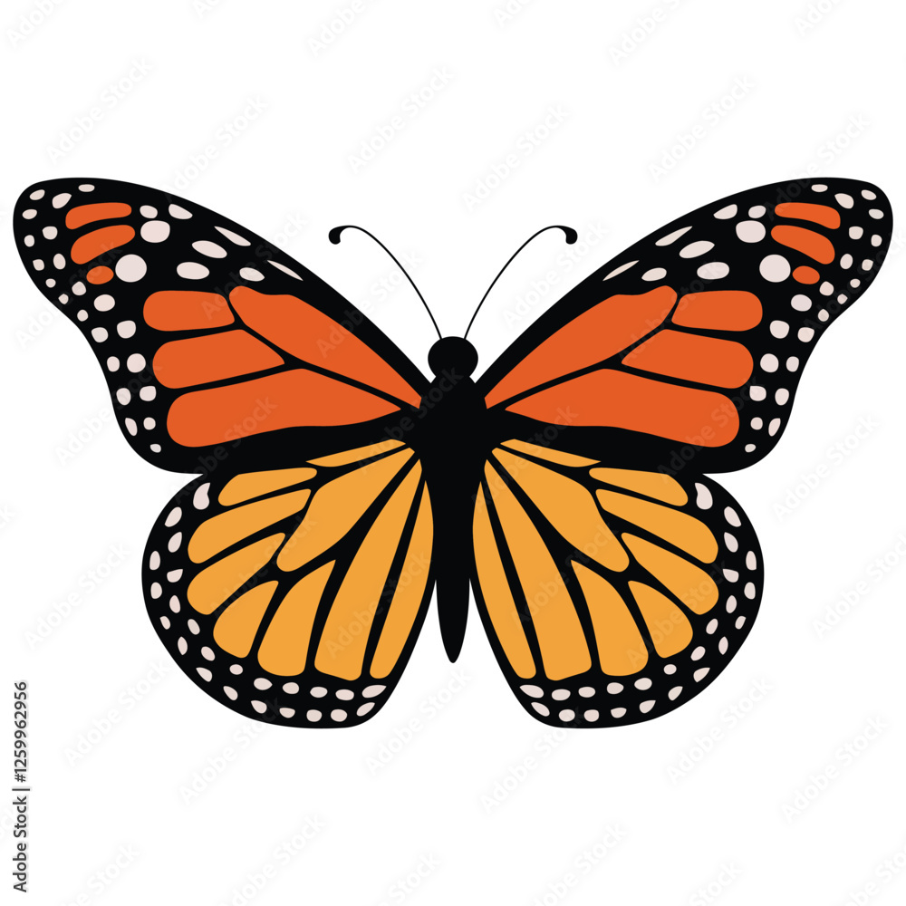 Fototapeta premium Crisp and Clean Butterfly Design.