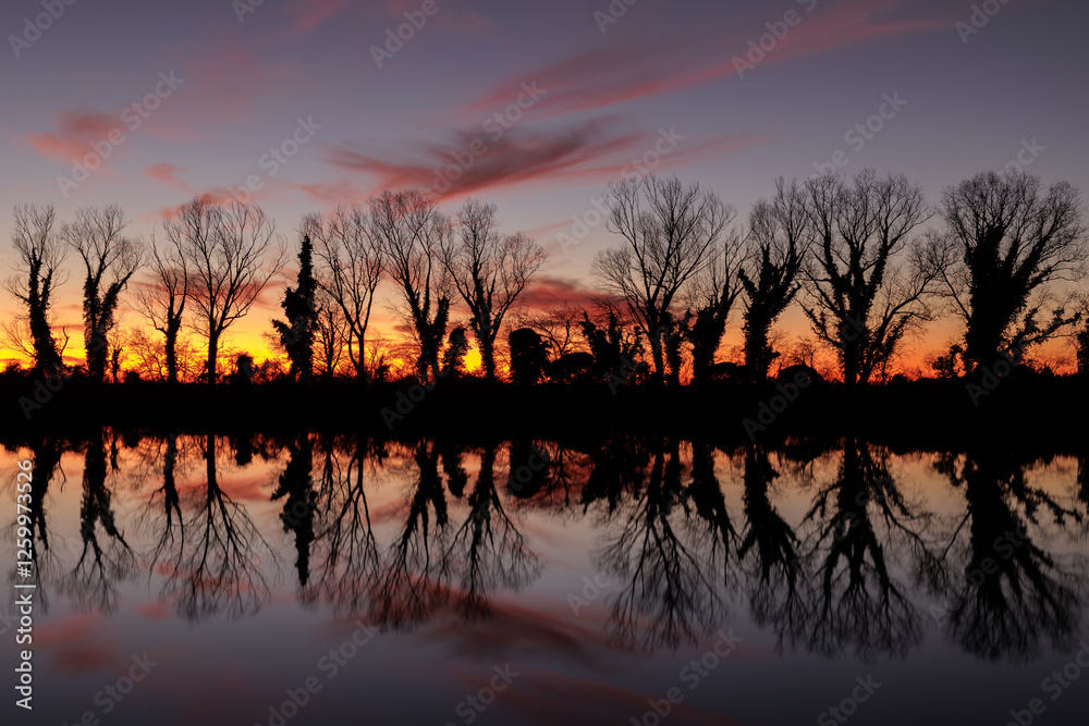sagome di alberi spogli in controluce che si riflettono insieme ad un bellissimo cielo colorato al tramonto sulla superficie piatta e calma del fiume Isonzo, nell'Italia nord-orientale, in inverno