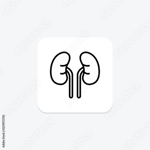 Human Kidneys line icon, vector, pixel perfect, illustrator file