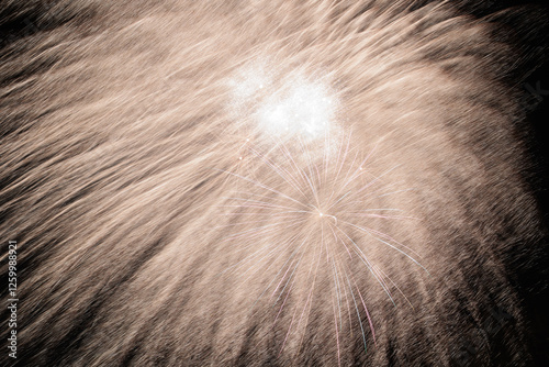 Obraz na płótnie dettagli di fuochi d'artificio di colore dorato chiaro su sfondo nero w salonie
