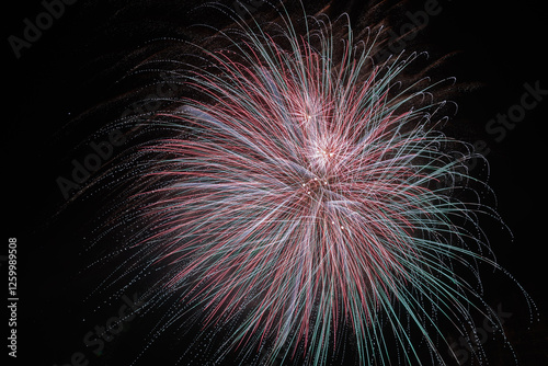 Obraz na płótnie dettagli di fuochi d'artificio di colore rosso e verde su sfondo nero w salonie