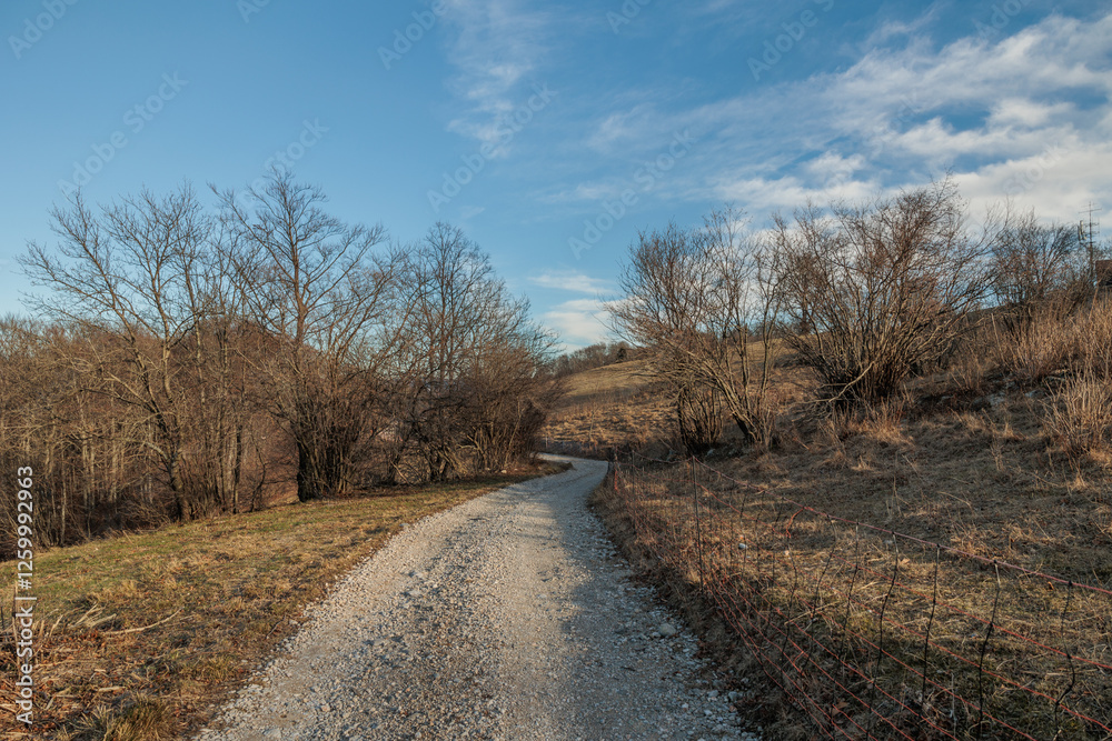 panoramica su una strada sterrata che passa lungo i pendii erbosi di una collina nella Slovenia occidentale, con il cielo azzurro e leggermente nuvoloso, di pomeriggio, in inverno