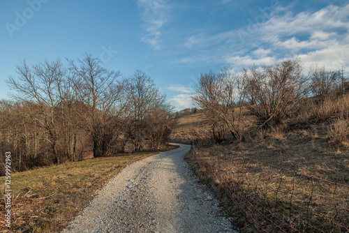 Obraz na płótnie panoramica su una strada sterrata che passa lungo i pendii erbosi di una collina nella Slovenia occidentale, con il cielo azzurro e leggermente nuvoloso, di pomeriggio, in inverno w salonie