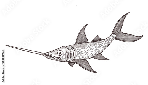 Detailed Vintage Swordfish Illustration with Intricate Line Art in Black and White