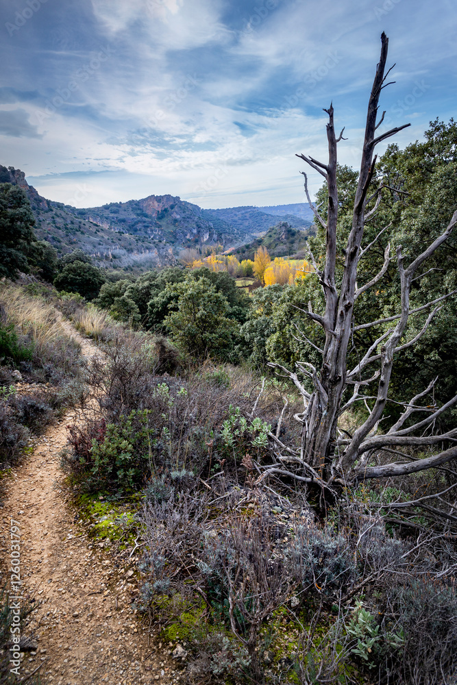 Sendero en el cañón del rio Dulce