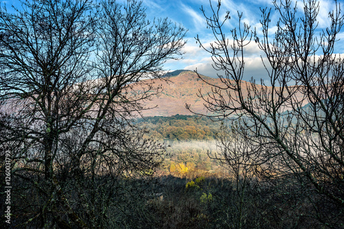 Pico Casillas tras los castaños photo