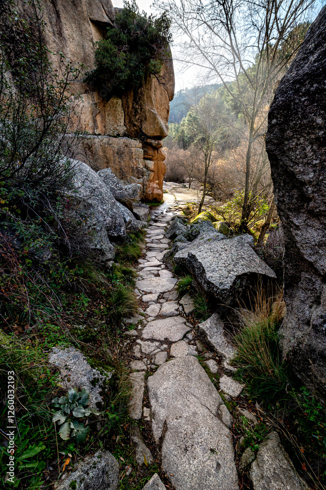 Sendero del Tranco a Canto Cochinos Sendero del Tranco a Canto Cochinos