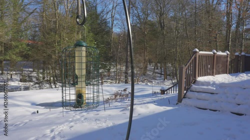 Panning right across the lush yard on a cold winter day. photo