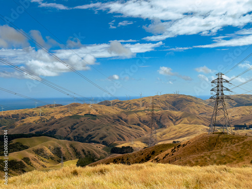 Wallpaper Mural Wellington, New Zealand. Power pylons, wind turbines and hilly farmland. View towards Mākara from the Skyline Northern Walkway at Kilmister Tops above Ohariu Valley, Ngaio and Crofton Downs.  Torontodigital.ca
