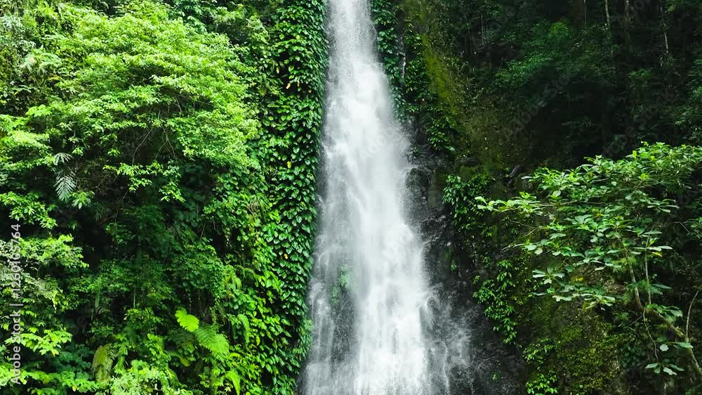 Waterfall in the jungle. Slow motion. Pulang-Tubig Falls in the rainforest. Negros, Philippines. Waterfall in the jungle. Slow motion. Pulang-Tubig Falls in the rainforest. Negros, Philippines.