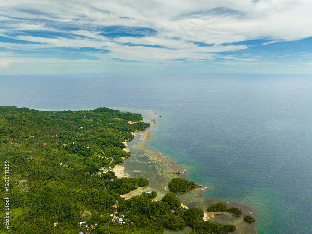 Top view of coastline of the island with jungle and beaches. Negros, Philippines Top view of coastline of the island with jungle and beaches. Negros, Philippines