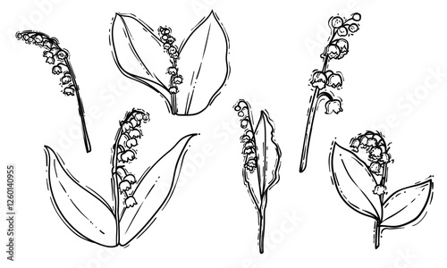 Set of hand drawn lilies of the valley. Black line art of beautiful winter flowers isolated on a white background. Illustration for online and print projects.