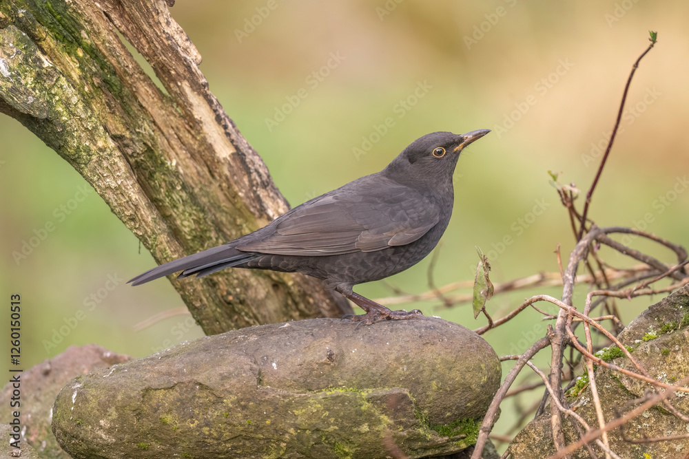 Obraz premium Generated image