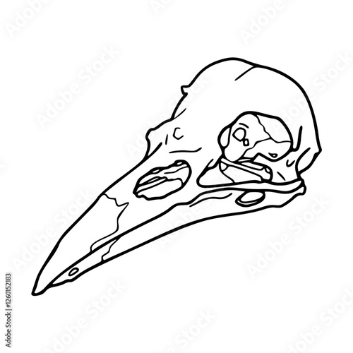a black and white drawing of a raven skull head in outline style