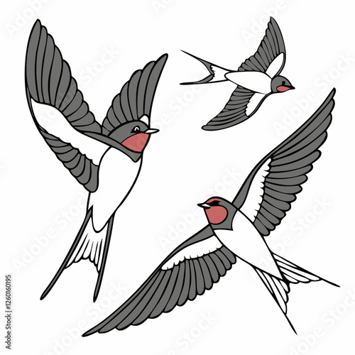 The Lives of Birds in Flight Swallows in mid-flight with detailed wingspans