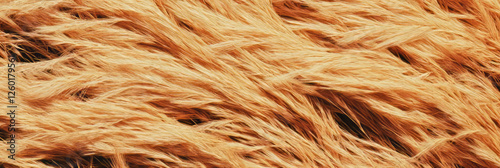 Short dry grass texture with yellowed tips showcasing natural patterns and sparse appearance photo