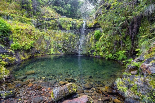 Small waterfall at Levada do Furado, Madeira, Portugal, Europe.
