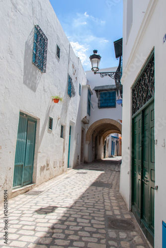 Tunisian royalty. Visit the Dar Lasram Hammouda Pacha Museum, a palace built in 1630 by Hammouda Pacha Bey in the heart of Tunis Medina. photo