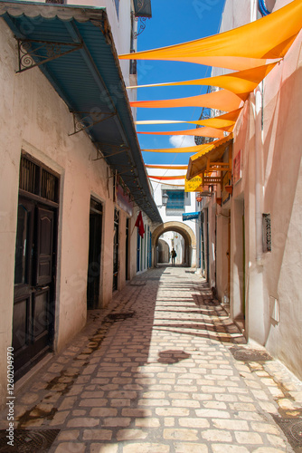 Tunisian royalty. Visit the Dar Lasram Hammouda Pacha Museum, a palace built in 1630 by Hammouda Pacha Bey in the heart of Tunis Medina. photo