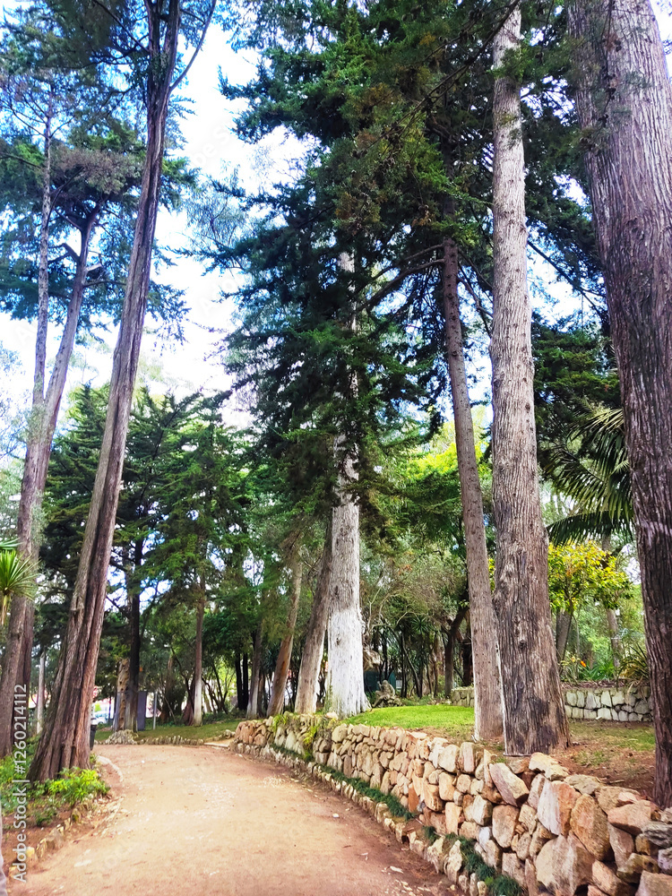 Scenic park pathway lined with tall trees and a stone wall. Perfect for a relaxing stroll. Scenic park pathway lined with tall trees and a stone wall. Perfect for a relaxing stroll.