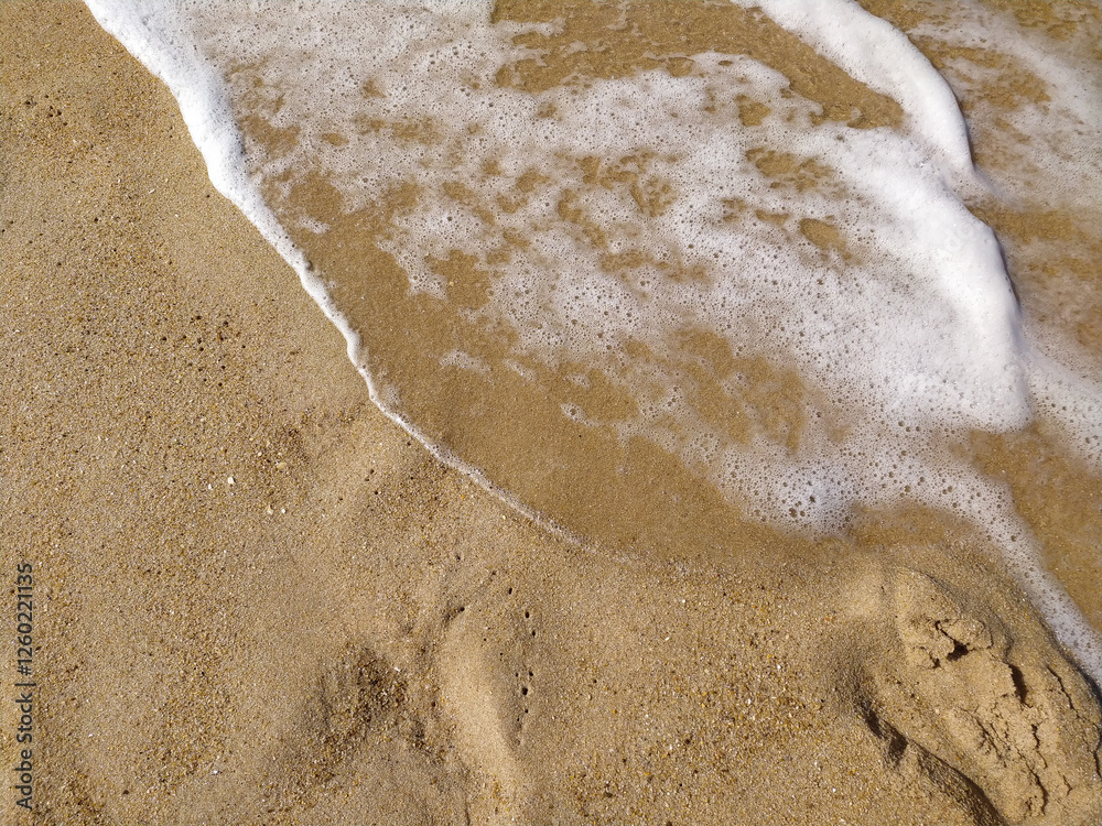 Fototapeta premium Gentle waves rolling onto sandy beach at sunrise, creating bubbles and a shimmering surface