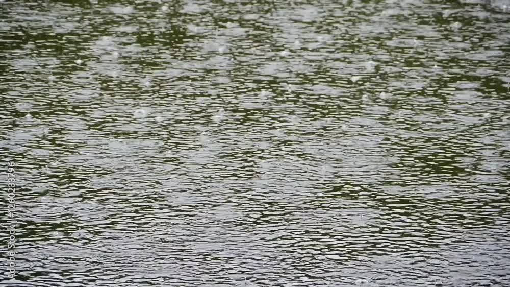 rain, bubbles, circles on the surface of the river, background rain, bubbles, circles on the surface of the river, background