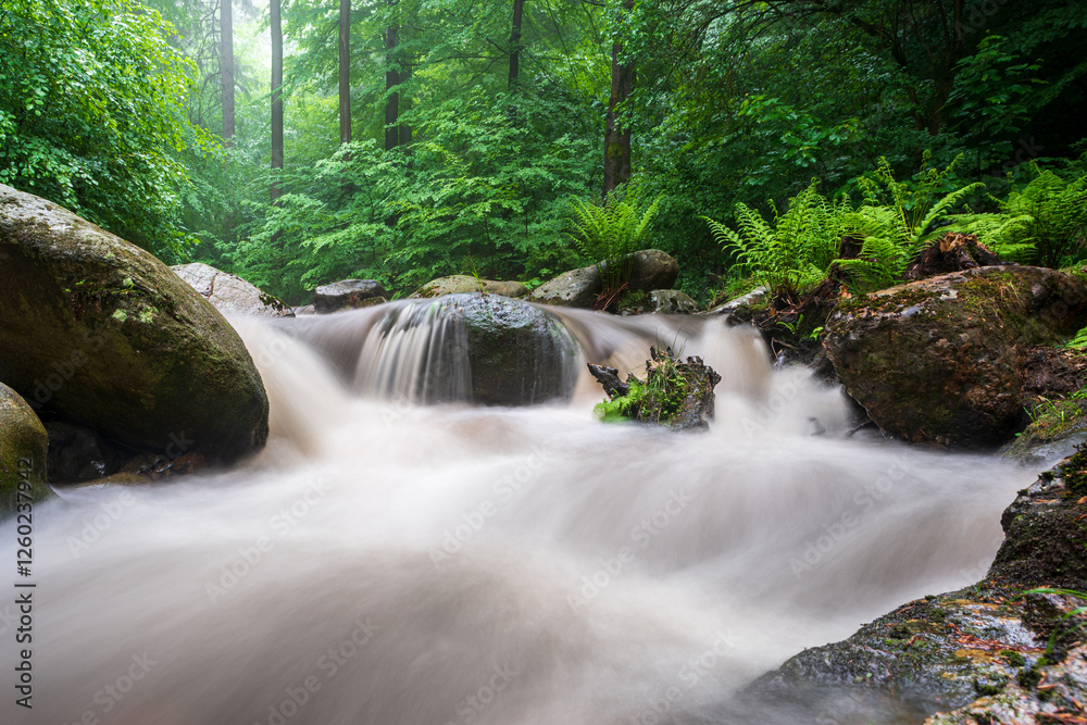 Obraz premium ILSENBURG Harz