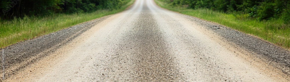 A serene, unpaved road stretches into the distance, flanked by lush greenery, inviting exploration and adventure. A serene, unpaved road stretches into the distance, flanked by lush greenery, inviting exploration and adventure.