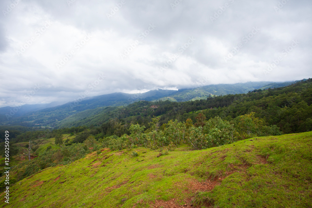 Fototapeta premium The natural landscape of the rural area in Aileu Municipality in Timor Leste is dominated by mountainous and hilly areas with dense tropical forests.