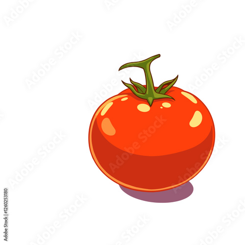 Realistic tomato illustration with glossy details