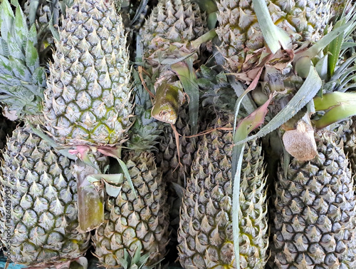 Pinaple sold in the market photo