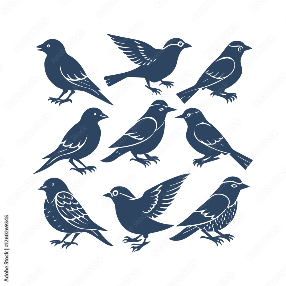 Fototapeta premium Birds Silhouette Clipart Set Vector Illustration Collection