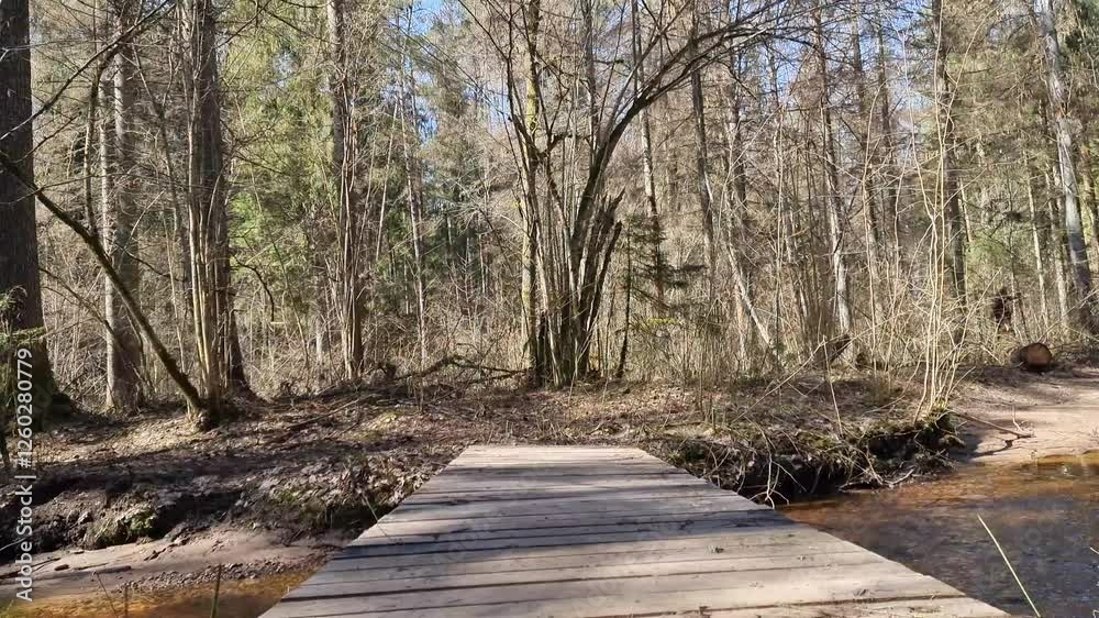 Wooden pedestrian bridge across the river in a forest of pines and spruces. Wooden pedestrian bridge across the river in a forest of pines and spruces.