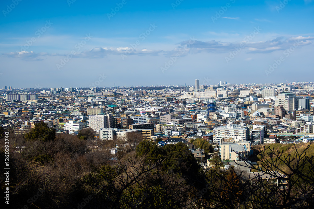 Naklejka premium 神奈川の枡形山から見る東京の風景