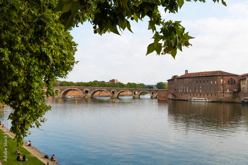 Obraz premium beautiful european city streets houses Toulouse France