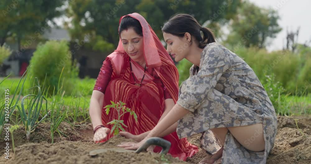 Indian active mother wear saree teen age cute girl sitting help and protect to grow tree in red soil young adult farmer female woman with lady talk gossip do nature care enjoy day desi life garden