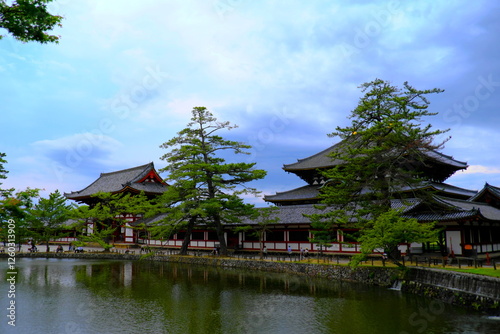 夕方の東大寺 photo