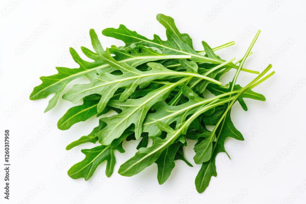 Fresh arugula leaves on a white background, perfect for salads and garnishes. isolated on white background. Fresh arugula leaves on a white background, perfect for salads and garnishes. isolated on white background.